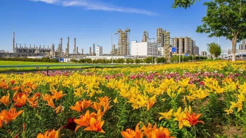 广州有机化工原料批发市场价格表：揭秘市场动态与选购要点